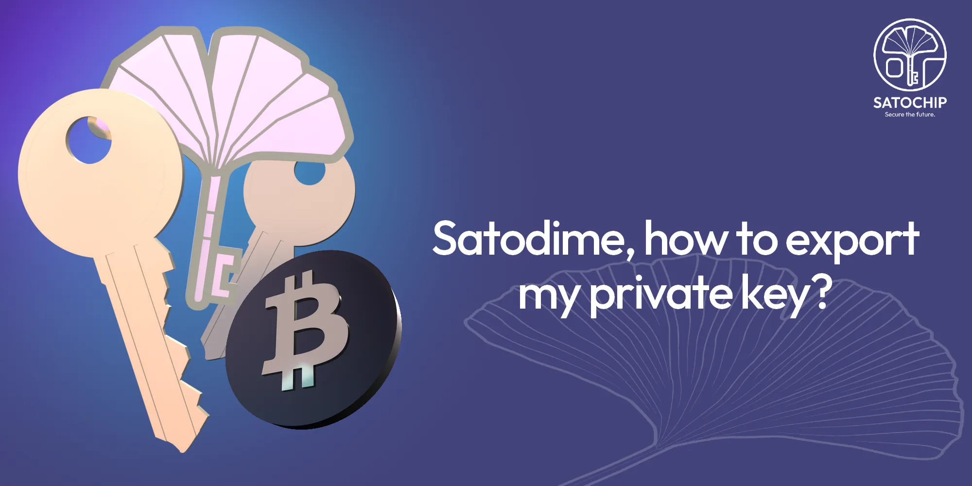 Vignette Academy – Satodime – Export privkey copie Satodime, how to export the private key